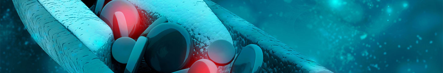 Hajbeültetés előtti teendők